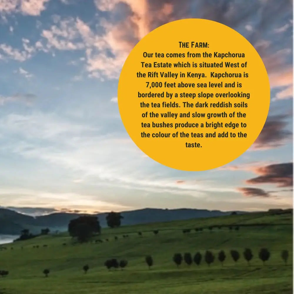 Brady's Loose Leaf Tea